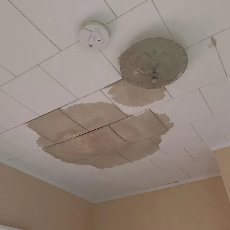 Ceiling Water Damage Repair in Fairview, OK