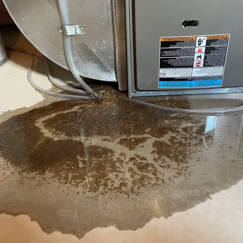 Pipe Burst and Leak Restoration in Fairview, OK