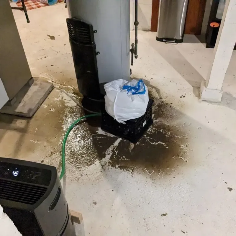 Sewage Backup Cleanup Service in Fairview, OK